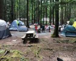 The visitors who want to enjoy night camping can come to the area as it has several camping sites. Imagine the fun of camping at such a beautiful plac